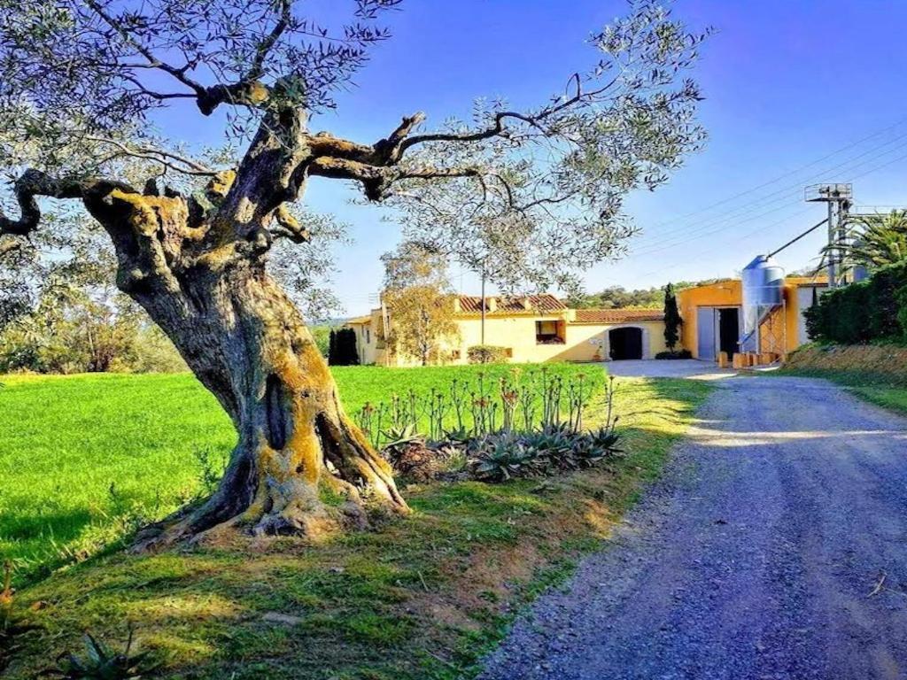 فيلا Rural Mas Hortus خيرونا المظهر الخارجي الصورة